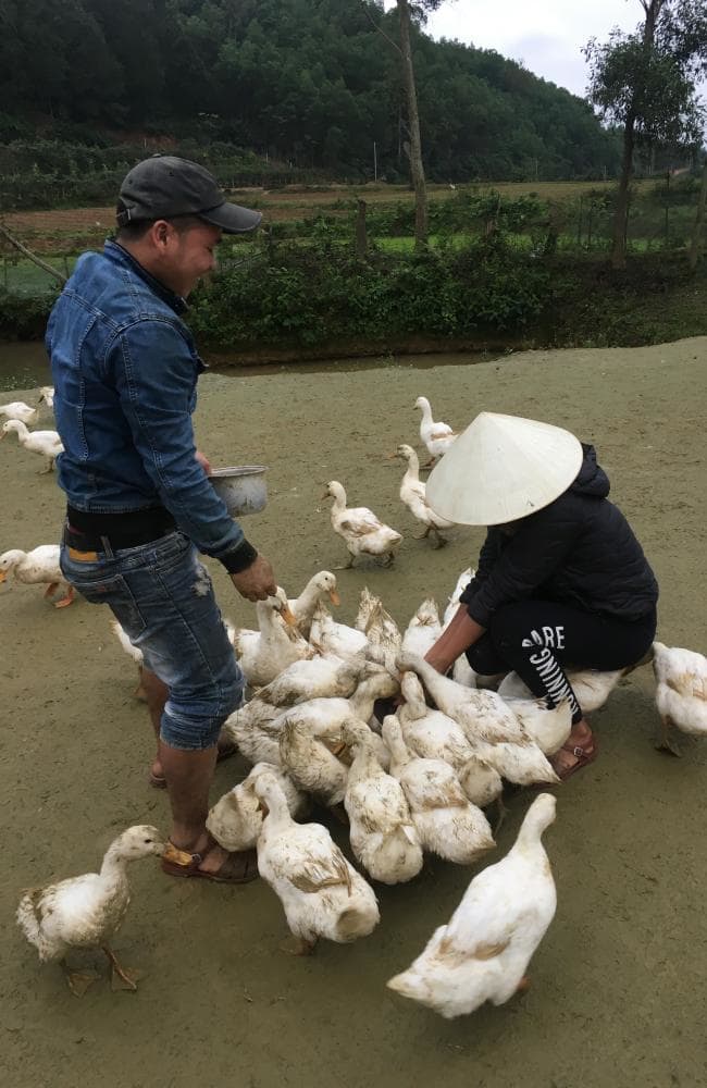 Phong Nha Việt Nam cho Escape
