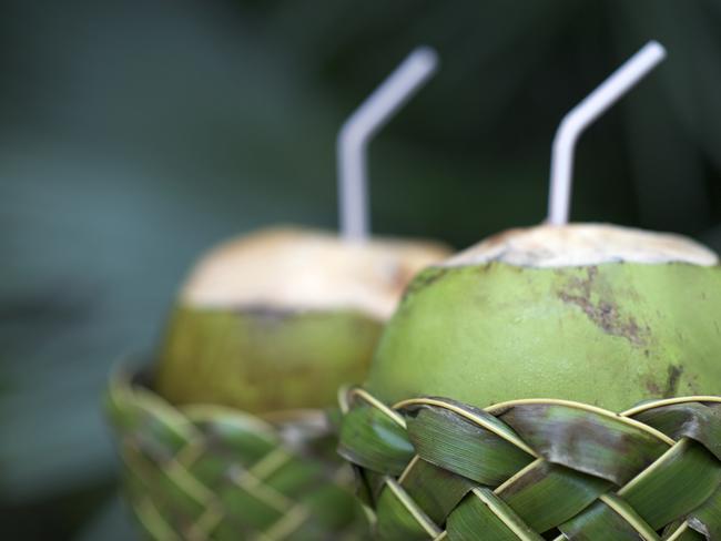 COOL OFF WITH DRINKS It’s safe to describe Saigon as steamy so travellers strolling the streets must schedule regular drink breaks by retreating to a cool spot – airconditioned, or just in the shade – and rehydrating with fresh coconut (pictured), sugarcane juice, iced Vietnamese coffee complete with condensed milk, 333 beer or soda chanh settlement specialties.